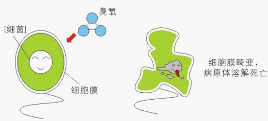 微納米氣泡臭氧醫(yī)療污水消毒技術(shù)